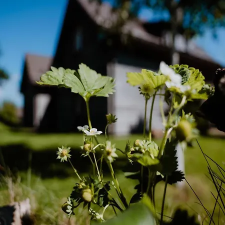 Semi-detached Houses, Turf House *